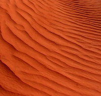 Overnight Uluru Adventure Safari - Palm Beach Accommodation