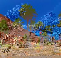 Palm Valley 4WD Tour from Alice Springs - Palm Beach Accommodation