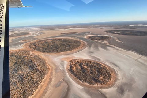 Scenic Flight: The Ultimate Outback Adventure - Palm Beach Accommodation 8