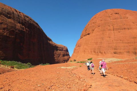 Overnight Uluru (Ayers Rock) Small-Group Camping Tour - Palm Beach Accommodation 6