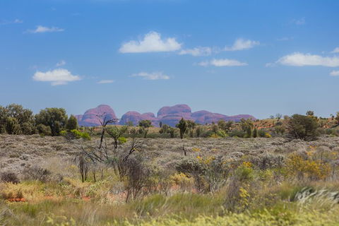 Overnight Uluru (Ayers Rock) Small-Group Camping Tour - Palm Beach Accommodation 15