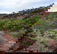 Palm Valley and Hermannsburg 1 Day 4WD Tour - Palm Beach Accommodation