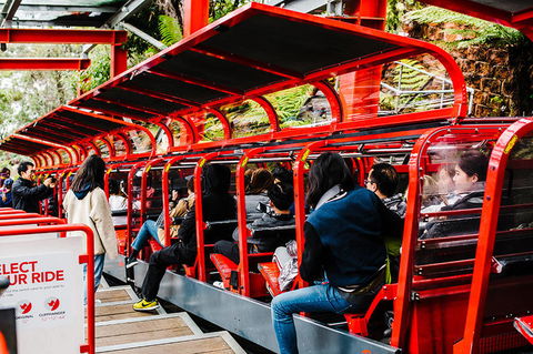 All-Inclusive Blue Mountains Day Trip With River Cruise - Palm Beach Accommodation 7