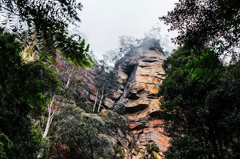 All-Inclusive Blue Mountains Day Trip With River Cruise - Palm Beach Accommodation 3