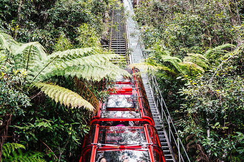 All-Inclusive Blue Mountains Day Trip With River Cruise - Palm Beach Accommodation 6