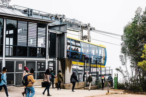 All-Inclusive Blue Mountains Day Trip With River Cruise - Palm Beach Accommodation 9