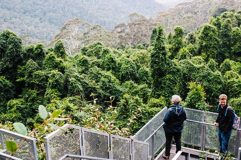 All-Inclusive Blue Mountains Day Trip With River Cruise - Palm Beach Accommodation 2