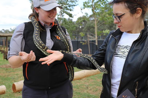 All-Inclusive Blue Mountains Day Trip With River Cruise - Palm Beach Accommodation 37