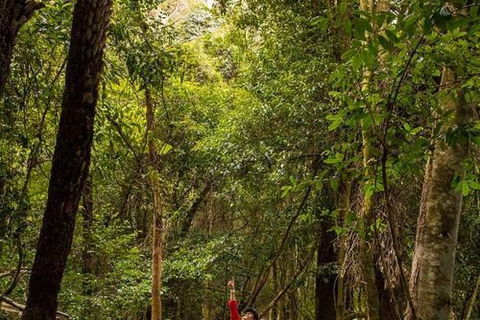 All-Inclusive Blue Mountains Day Trip With River Cruise - Palm Beach Accommodation 26