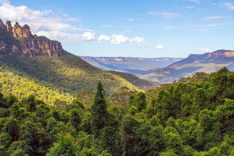 All-Inclusive Blue Mountains Day Trip With River Cruise - Palm Beach Accommodation 28