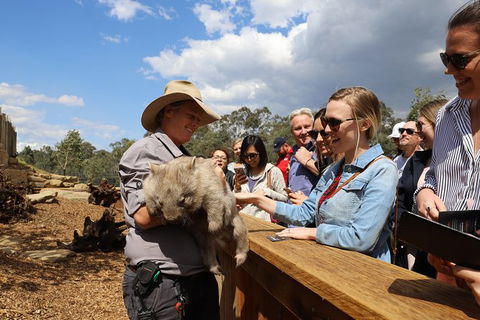 All-Inclusive Blue Mountains Day Trip With River Cruise - Palm Beach Accommodation 27