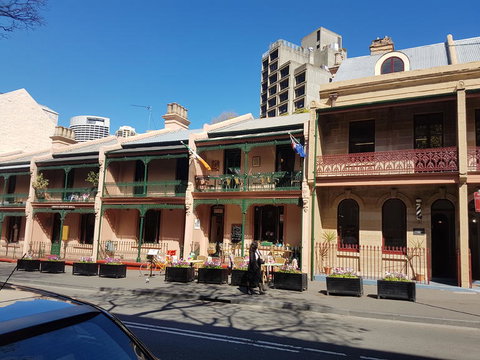 Sydney Combo: Hop-On Hop-Off Harbor Cruise And Hop-On Hop-Off City Bus Tour - Palm Beach Accommodation 5