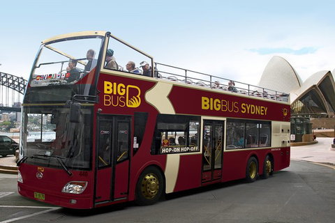Sydney Combo: Hop-On Hop-Off Harbor Cruise And Hop-On Hop-Off City Bus Tour - Palm Beach Accommodation 1