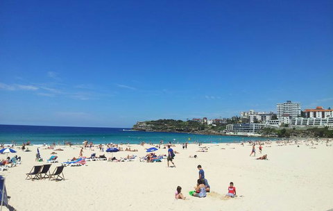 Sydney Combo: Hop-On Hop-Off Harbor Cruise And Hop-On Hop-Off City Bus Tour - Palm Beach Accommodation 25
