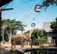 Sydney Taronga Zoo General Entry Ticket and Wild Australia Experience - Palm Beach Accommodation