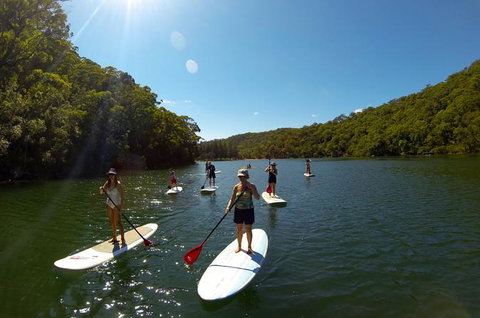 Basin Stand Up Paddle Boarding (SUP) Safari - Palm Beach Accommodation 0