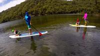 Basin Stand Up Paddle Boarding (SUP) Safari - Palm Beach Accommodation 1
