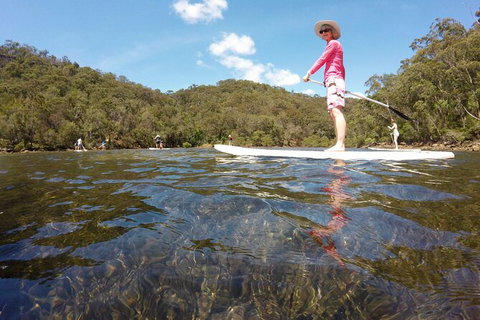 Basin Stand Up Paddle Boarding (SUP) Safari - Palm Beach Accommodation 3