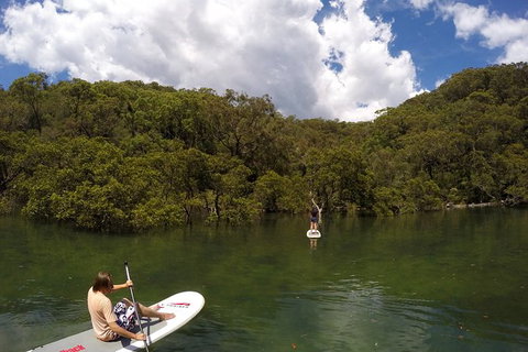 Basin Stand Up Paddle Boarding (SUP) Safari - Palm Beach Accommodation 7