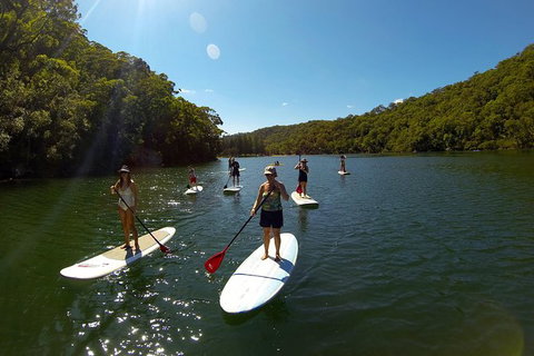 Basin Stand Up Paddle Boarding (SUP) Safari - Palm Beach Accommodation 4