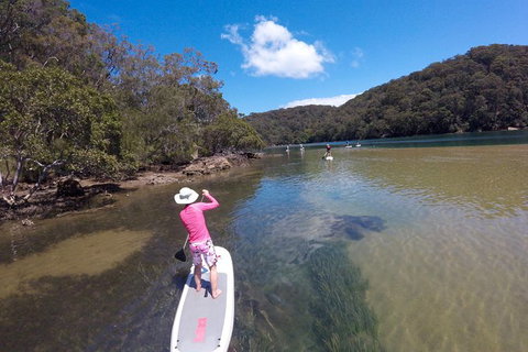 Basin Stand Up Paddle Boarding (SUP) Safari - Palm Beach Accommodation 5