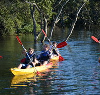 Kayak and SUP Guided Tours - Palm Beach Accommodation