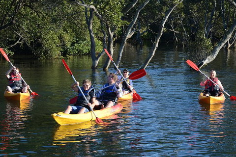 Kayak And SUP Guided Tours - Palm Beach Accommodation 0