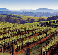 Private Day Trip to Hunter Valley from Sydney with Pickup - Palm Beach Accommodation