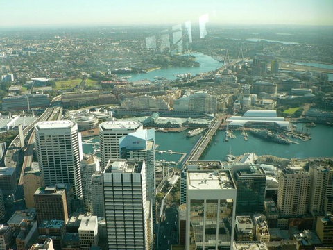 Sydney Pass: SEA LIFE Aquarium, Sydney Tower Eye, WILD LIFE Sydney, Sydney Harbour Cruise, And Madame Tussauds - Palm Beach Accommodation 16