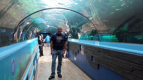 Sydney Pass: SEA LIFE Aquarium, Sydney Tower Eye, WILD LIFE Sydney, Sydney Harbour Cruise, And Madame Tussauds - Palm Beach Accommodation 5