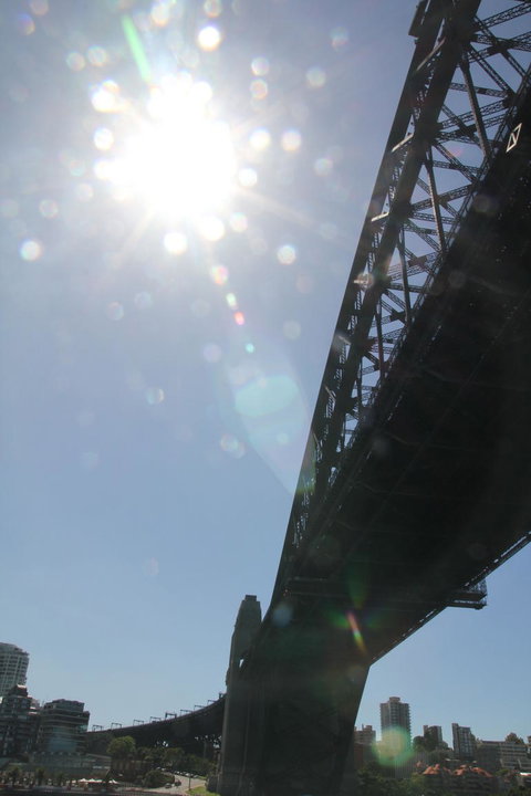 Sydney Pass: SEA LIFE Aquarium, Sydney Tower Eye, WILD LIFE Sydney, Sydney Harbour Cruise, And Madame Tussauds - Palm Beach Accommodation 20