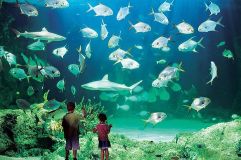 Sydney Pass: SEA LIFE Aquarium, Sydney Tower Eye, WILD LIFE Sydney, Sydney Harbour Cruise, And Madame Tussauds - Palm Beach Accommodation 0