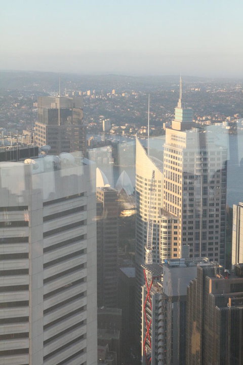 Sydney Pass: SEA LIFE Aquarium, Sydney Tower Eye, WILD LIFE Sydney, Sydney Harbour Cruise, And Madame Tussauds - Palm Beach Accommodation 18