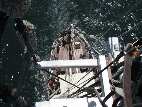 Sydney Harbour Tall Ship Lunch Cruise - Palm Beach Accommodation 4