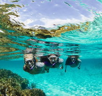 Sydney 3-Hour Snorkeling Tour - Palm Beach Accommodation