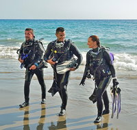 Sydney Guided Shore Dive - Palm Beach Accommodation