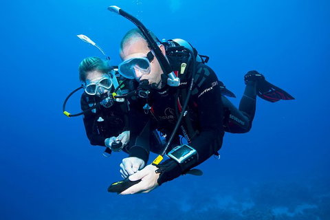Sydney Guided Shore Dive - Palm Beach Accommodation 1