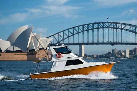 Private Whale Watching Tour Sydney - Luxury Yacht Up To 12 Guests - Palm Beach Accommodation 0