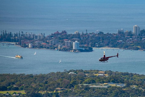 30-Minute Sydney Harbour And Olympic Park Helicopter Tour - Palm Beach Accommodation 6