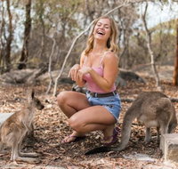 Hunter Valley Wine and Wildlife Reserve Tour from Sydney - Palm Beach Accommodation