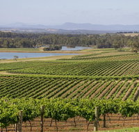 Hunter Valley Wine and Wildlife Tour from Sydney with Walkabout Wildlife Park - Palm Beach Accommodation