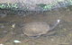Visit Walkabout Wildlife Sanctuary - thumb 5