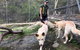 Visit Walkabout Wildlife Sanctuary - thumb 8