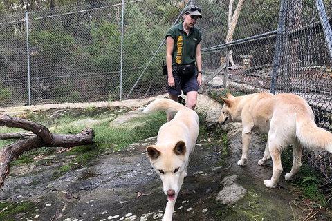 Visit Walkabout Wildlife Sanctuary - Palm Beach Accommodation 8