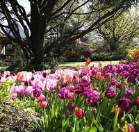 Spring Gardens in the Blue Mountains Private Tour Limited Time Only - Palm Beach Accommodation