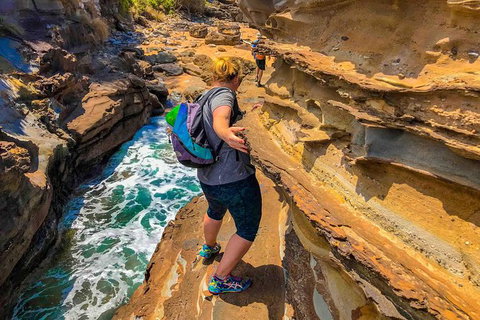 5 Day Murramarang Coast Journey From Sydney - Guided Hike With Villa Accom - Palm Beach Accommodation 3