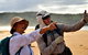 5 Day Murramarang Coast Journey From Sydney - Guided Hike With Villa Accom - thumb 4