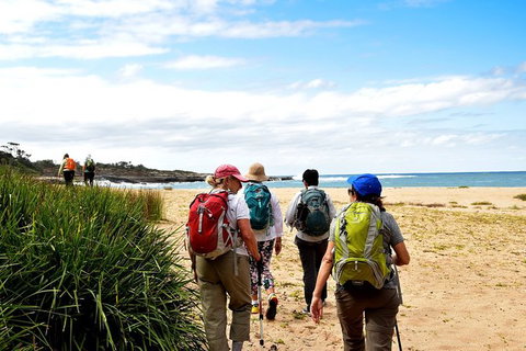 5 Day Murramarang Coast Journey From Sydney - Guided Hike With Villa Accom - Palm Beach Accommodation 5