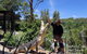 Private Shoalhaven Zoo Experience From Sydney - thumb 0