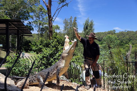 Private Shoalhaven Zoo Experience From Sydney - Palm Beach Accommodation 0